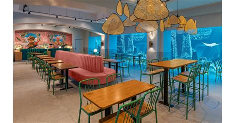 Shake Shack Atlantis.